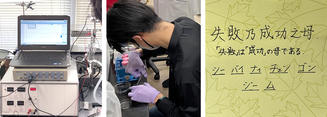 大学院教育